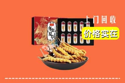 合肥长丰县回收冬虫夏草
